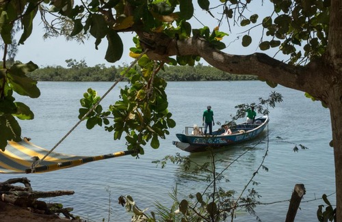 Diakene Ouolof Hotel | Campement île d'Egueye