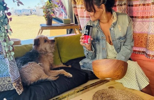 Sant Jordi de Ses Salines House | Camper Ibiza Volkswagen T4