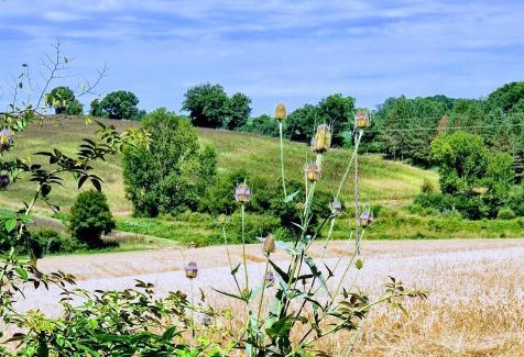 Margouet-Meymes Other | Camping d'Artagnan