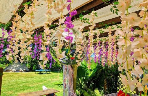 Margouet-Meymes Other | Camping d'Artagnan