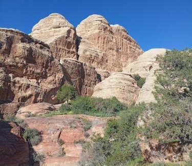 Dana Other | Camping Guide