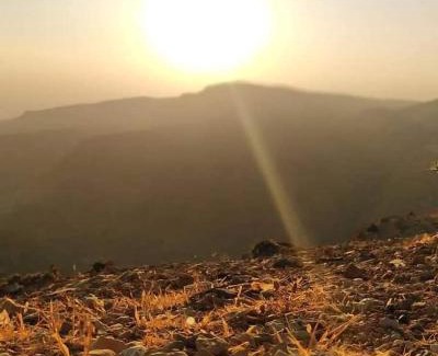 Dana Other | Camping Guide