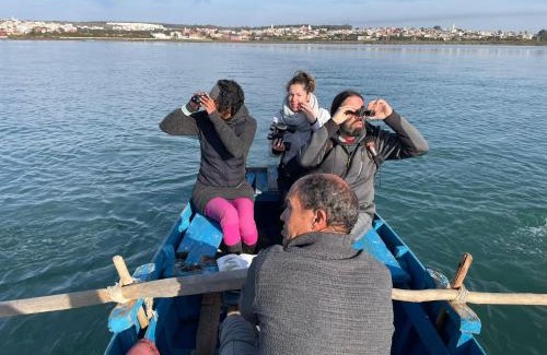 Moulay Bousselham Other | Camping Kbir