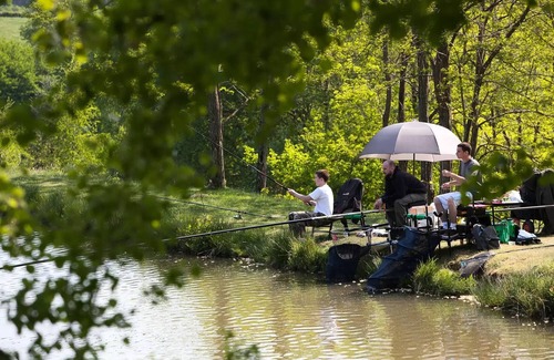 Saint-Leger-de-Fougeret Ski Chalet | Camping LA FOUGERAIE * - Chalet 5 people