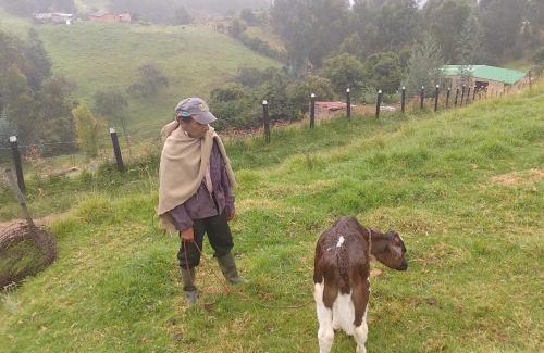 Fuquene Other | Camping Nuevo Amanecer