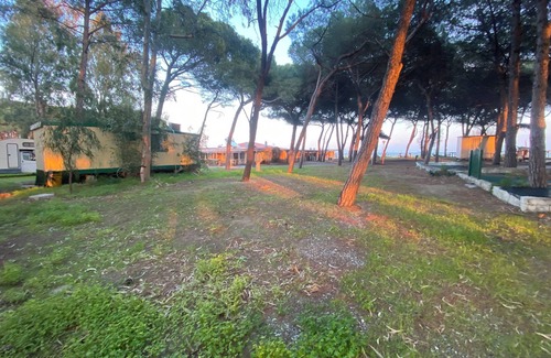 Borgia House | Camping surrounded by nature within walking distance from the sea