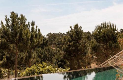 Carvalhal Villa | Campo de Arroz