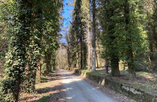 Cincelli Apartment | Campoleone 6 - Apartment on historical property near Arezzo, Tuscany