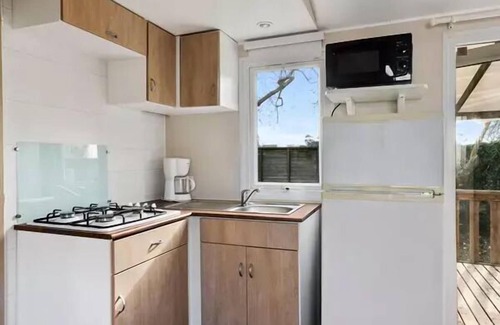 Albaron House | Campsite Le Crin Blanc * - Mobile Home Classic 4 Rooms 6 People Air Conditioned