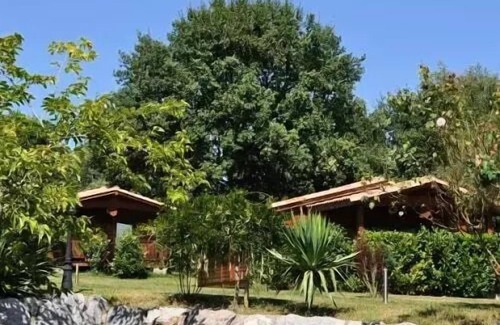 Montrejeau Ski Chalet | Campsite Midi Pyrenees * - Chalet 2 bedrooms 5 people