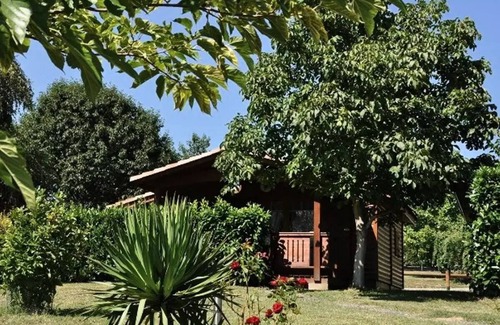 Montrejeau Ski Chalet | Campsite Midi Pyrenees * - Chalet 2 bedrooms 5 people