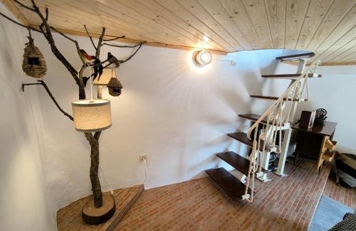 Sao Pedro do Sul Villa | Canastro Nature Spot