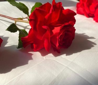 Bac Quang Hotel | Cao Son Hotel