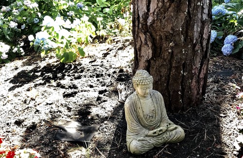 Chatham Apartment | Cape Cod Chatham Water View Retreat