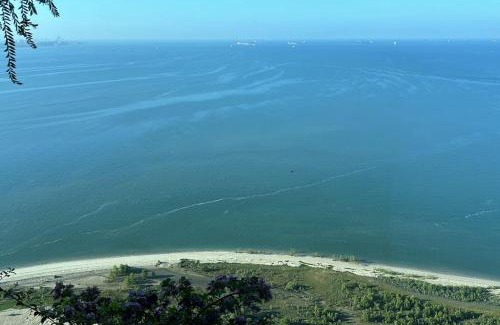 Gelang Patah Apartment | Carnelian Tower Hotel at Forestcity 4115 with WIFI