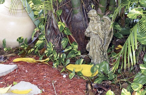 Marathon Cottage | Carpe' Diem Heart of the Fl. Keys Specials