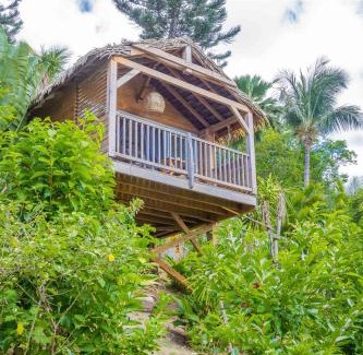 Bas Vent Bed & Breakfast | Carre Royal