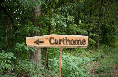 gmina Ksiezpol Apartment | Carthome - wyjątkowe miejsce leśnego wypoczynku