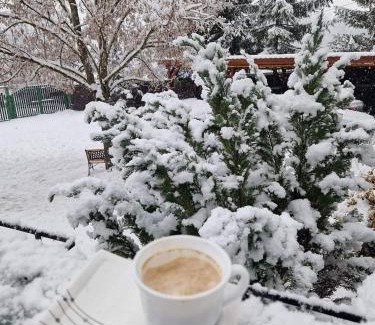 Sovata Ski Chalet | Casă de vacanță Chalet le Cristal