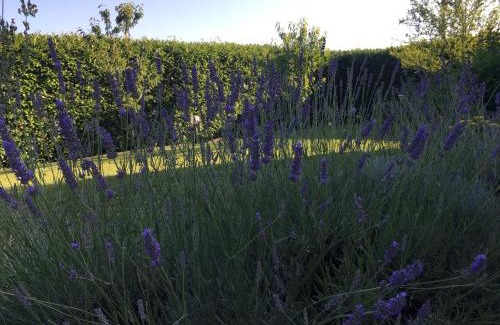 Capolona Apartment | Casa al Riccio