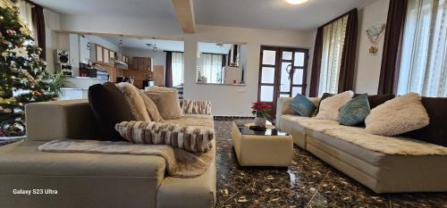 Poiana Tapului Villa | Casa Aly Bușteni- Vila la cheie