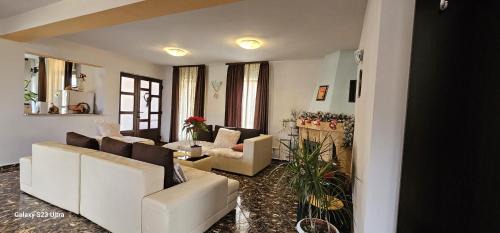 Poiana Tapului Villa | Casa Aly Bușteni- Vila la cheie