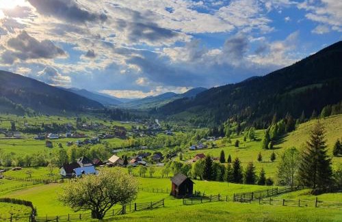 Ciocanesti House | Casa Aureliana