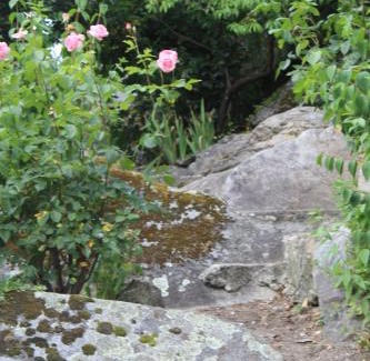 Avo Apartment | Casa Avô T1