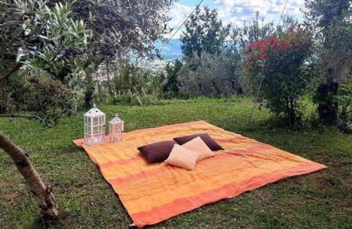 Castelfranco di Sopra House | Casa Benucci Oliveta Tuscany