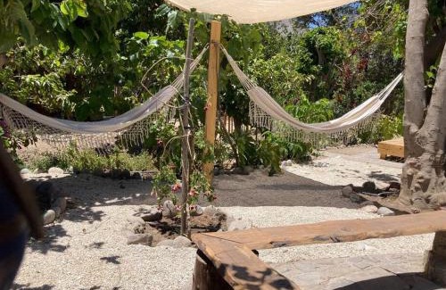 Vicuna House | Casa campestre Valle del Elqui