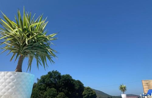 Cabril House | Casa Carvalhal do Esporão