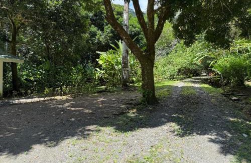 Carate Villa | Casa Castaña