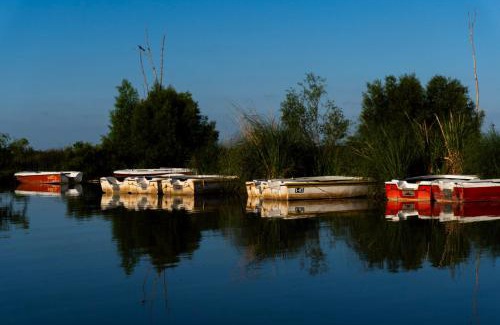 General San Martin House | Casa Cercada, Pet Friendly, Hospedaje Monte