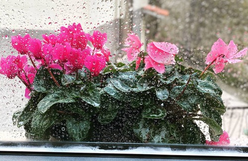 Candal House | Casa Completa de 2 Pisos, com Cozinha em Open Space