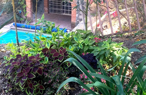 Tepoztlan House | Casa con vista la Tepozteco, con acogedores departamentos