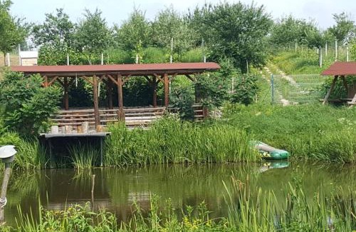 Pomi House | Casa cu fantana