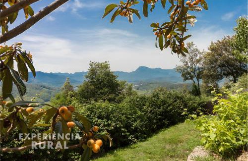 Sant Joan les Fonts House | Casa d'Aiguanegra