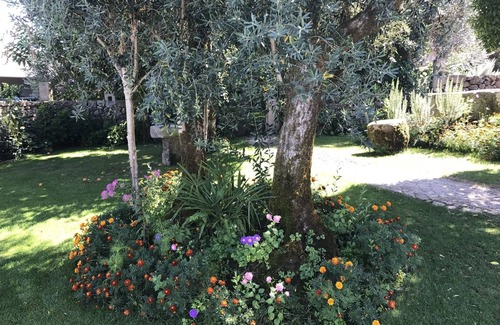 Fatauncos House | CASA DA PRAÇA - TRANQUILITY AND COMFORT AT A FANTASTIC PRICE