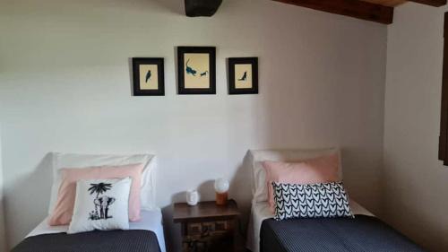 Janeiro de Cima House | Casa da Ti Adélia