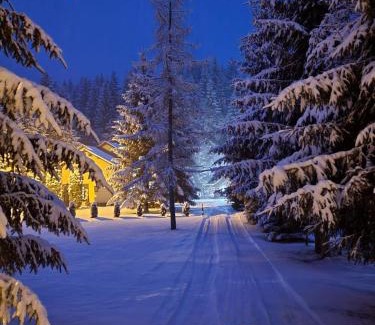 Toplita Cabin | Casa Danielle