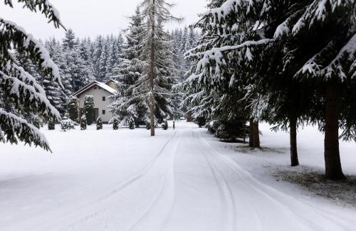 Toplita Cabin | Casa Danielle