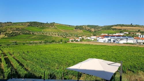 Vila Nova de Foz Coa House | Casa das Lajes - Alojamento Local