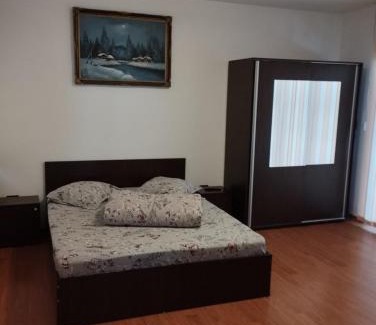 Voineasa House | CASA DAVID