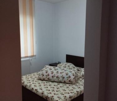 Voineasa House | CASA DAVID