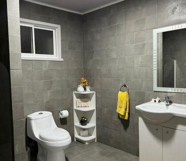 Curacautin House | Casa de campo