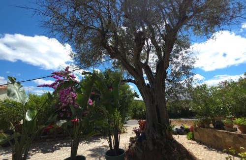 Loule House | Casa de ferias Escapadas Casa amorosa Tranquilidade e natureza 1 quarto 6 pessoas