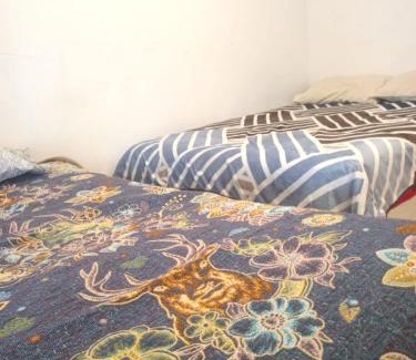 Tlaxcala Apartment | casa de Fidel