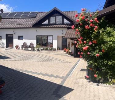 Sadova House | Casa de pe Deal