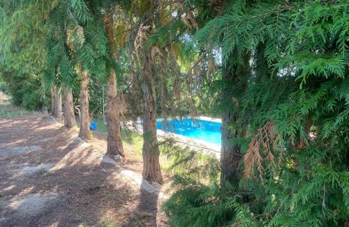 Vimioso House | Casa de Pereiras, Vimioso