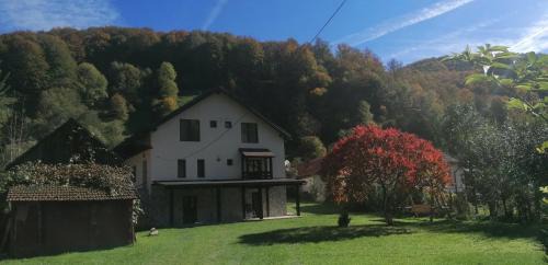 Banita House | Casa de vacanță Edya